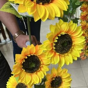 Girasoles